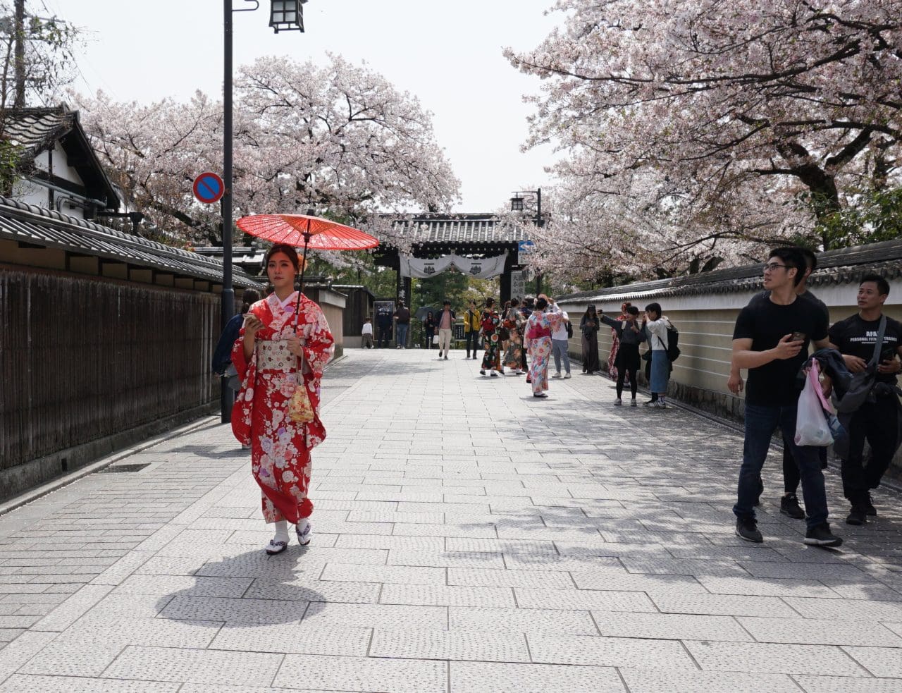 Kyoto – Hanami