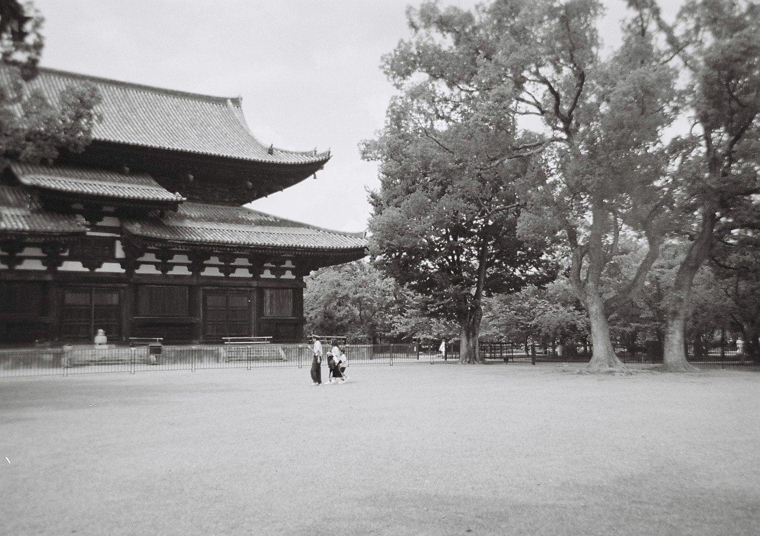 To-ji temple in Kyoto